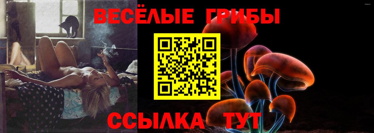 Псилоцибиновые грибы GOLDEN TEACHER Апрелевка